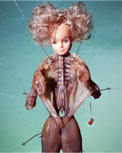 anatomical doll
