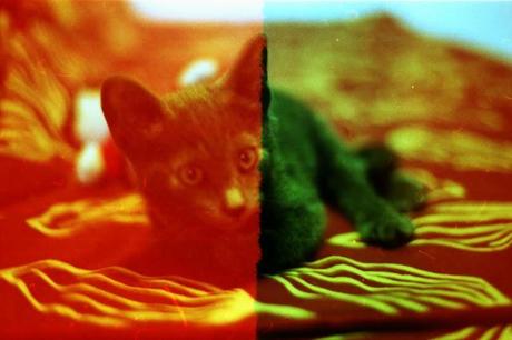 Revolog 600nm TEST ROLL parte 2 - Martino