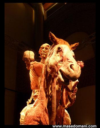 Mostre a Milano: Body Worlds