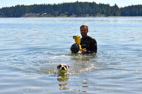 Underwater dogs