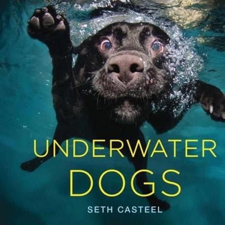 Underwater dogs