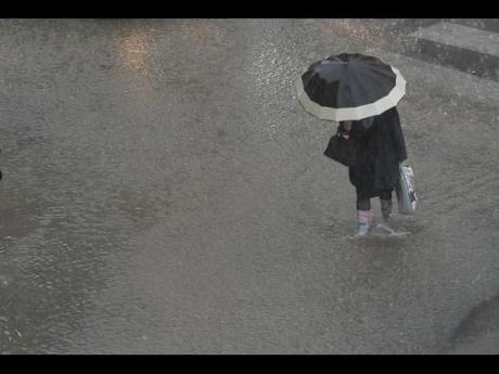 Roma: allerta meteo. Alemanno: le scuole non chiudono