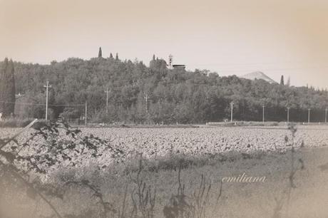 Un giorno di ottobre.............del 1952