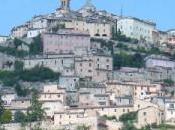 Trevi olivi della terra umbra
