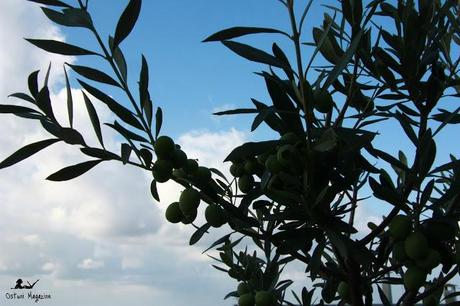 Pensieri e Colori d'Autunno