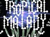 pralad Apichatpong Weerasethakul (2004)