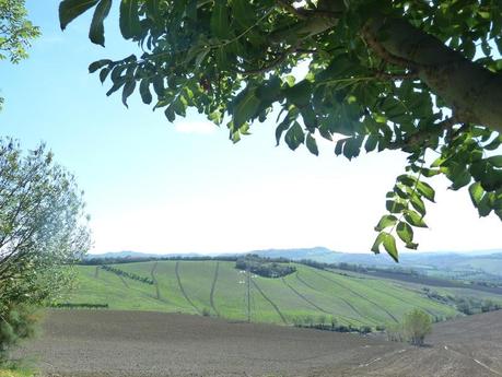 Countryside and seaside