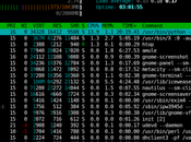 server benchmarking