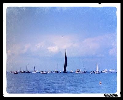 44Barcolana: il podio...