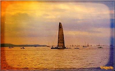 44Barcolana: il podio...