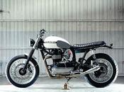 Stellar Triumph Thruxton Kiddo Motors