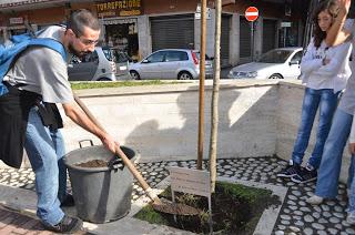 Un albero e una targa in ricordo del nostro amico Francesco Fiori, che difese la bellezza di Roma