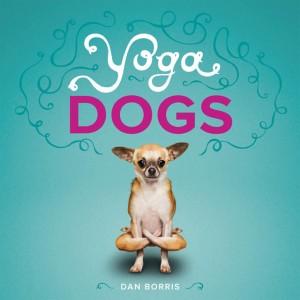 Doga, ora spopola lo yoga per cani