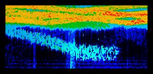 L’Affanno dello Scrittore tra Consapevolezza Digitale e Sovraccarico Informativo