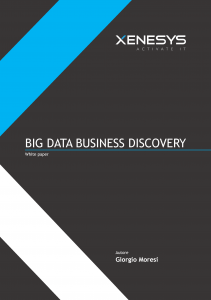 Big Data Business Discovery | il white paper sulla nuova BI infocube-less