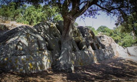 Oschiri e Ozieri: altari sacri, chiese campestri e grotte magiche