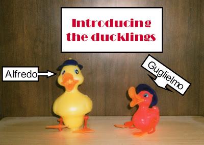 meet the ducklings