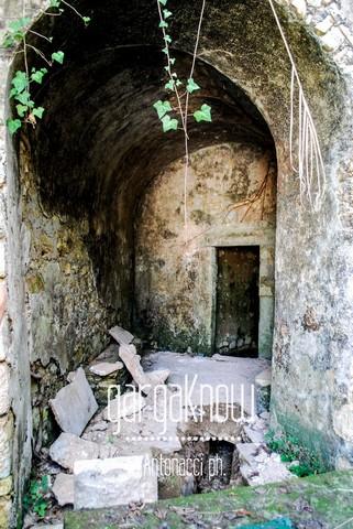 FOTO - Rodi Garganico, l'oasi agrumaria e le sue sorgenti in abbandono (e nel cemento)