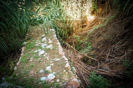 FOTO - Rodi Garganico, l'oasi agrumaria e le sue sorgenti in abbandono (e nel cemento)