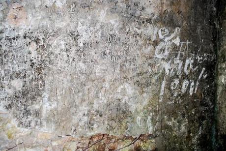 FOTO - Rodi Garganico, l'oasi agrumaria e le sue sorgenti in abbandono (e nel cemento)