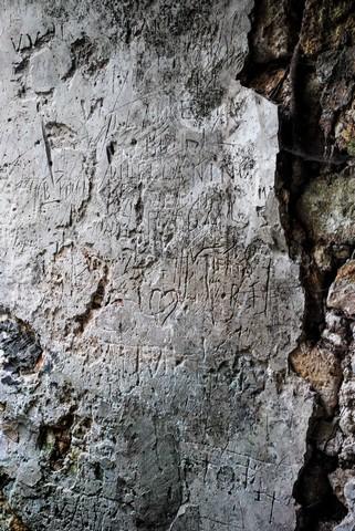 FOTO - Rodi Garganico, l'oasi agrumaria e le sue sorgenti in abbandono (e nel cemento)