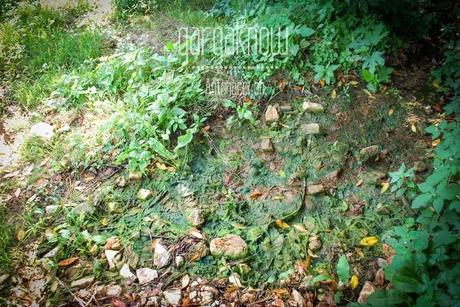 FOTO - Rodi Garganico, l'oasi agrumaria e le sue sorgenti in abbandono (e nel cemento)