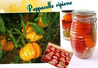 PAPPACELLE RIPIENE CAPPERI, TONNO E ACCIUGHE