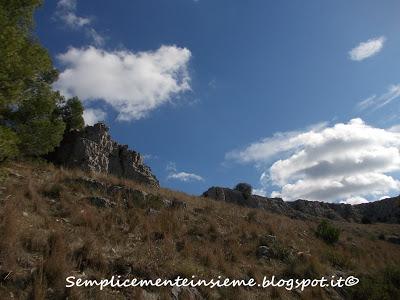 Pulicchio di Gravina