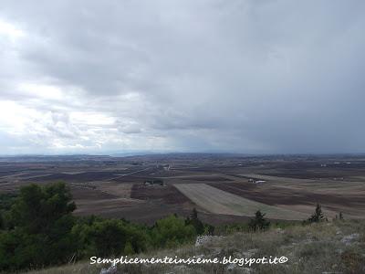 Pulicchio di Gravina