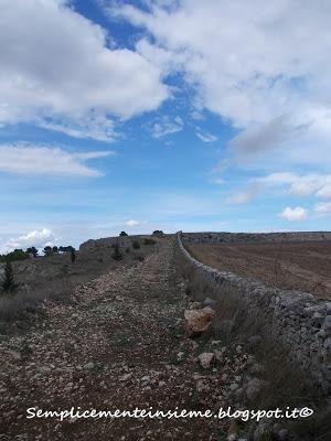 Pulicchio di Gravina