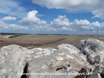 Pulicchio di Gravina