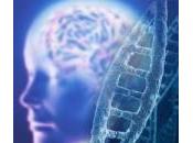 consumo carne favorisce sviluppo cervello