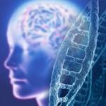 proteine naturali consumo di carne cervello 