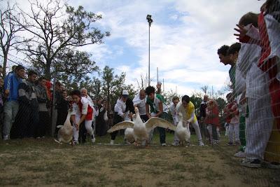 il trentesimo Palio del Papero