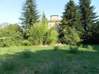 Natura, foto e qualche animaletto