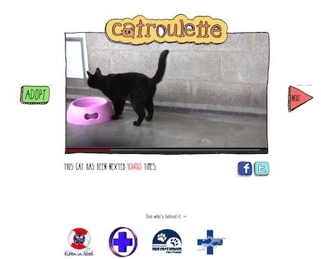 CATRoulette (non ChatRoulette). Coi gatti.