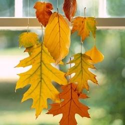 E' arrivato l'autunno...su Pinterest