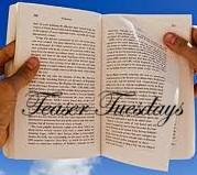 Teaser Tuesdays (83)