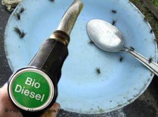 Biocarburanti: una sciagura per alcuni.