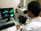 Università Catania Bristol Myers Squibb: stage patnership