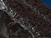 Torta cacao ripiena caffe' mascarpone