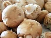 Sformato champignon cipolle