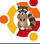 ubuntu ringtail.jpg