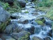 percorso didattico sull’acqua