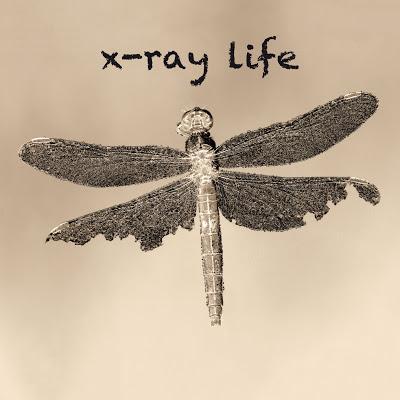 X-Ray Life - i dettagli del debut album