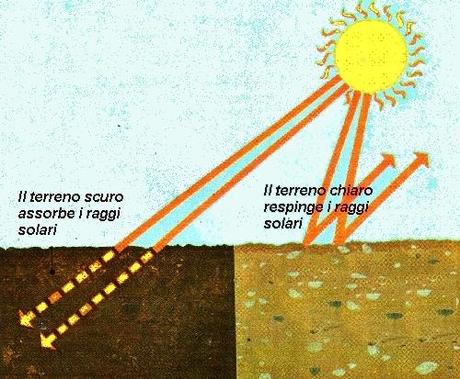 Orto d’inverno. Metodi semplici per riscaldare il terreno: fuliggine e fondi di caffè