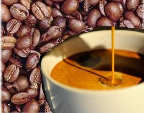 Orto d’inverno. Metodi semplici per riscaldare il terreno: fuliggine e fondi di caffè