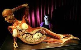 Body Worlds, la mostra dei morti viventi