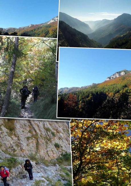 Trekking in Lessinia ovvero...i colori dell'autunno.