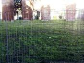 Qualche volta succede